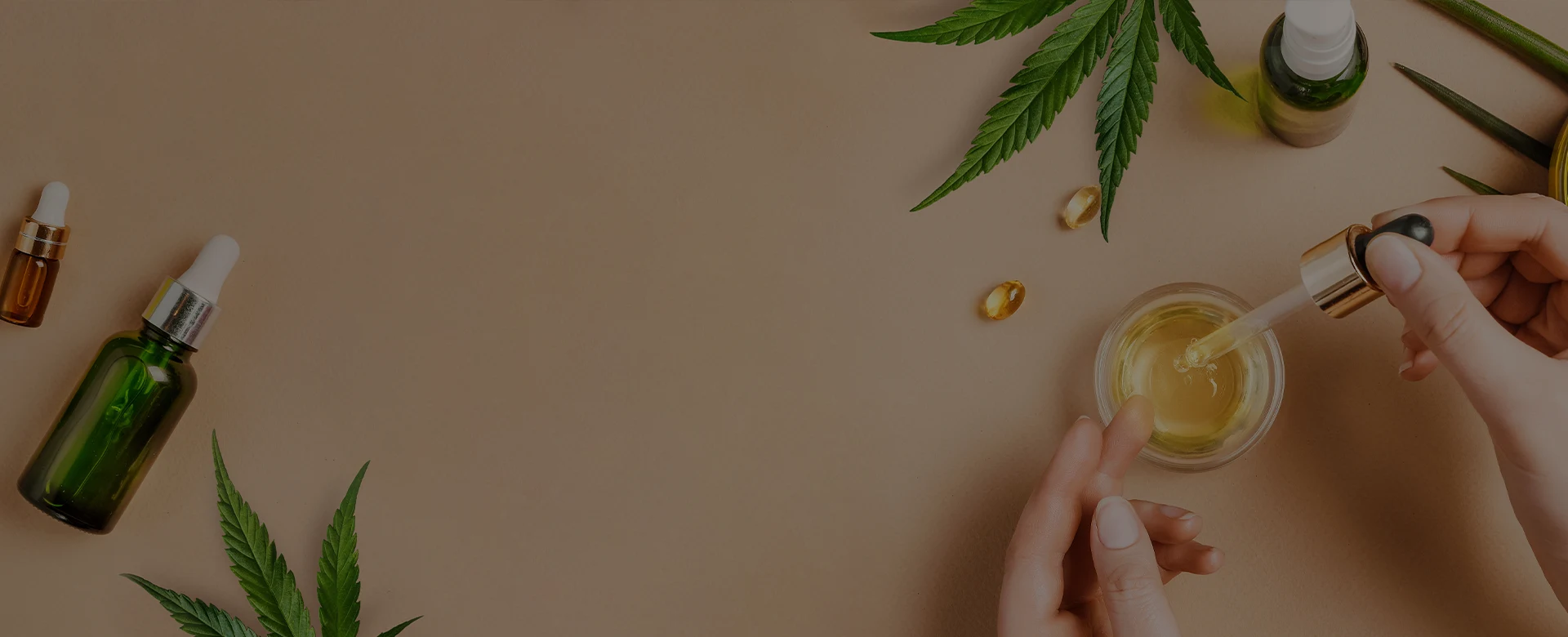 Experts du CBD